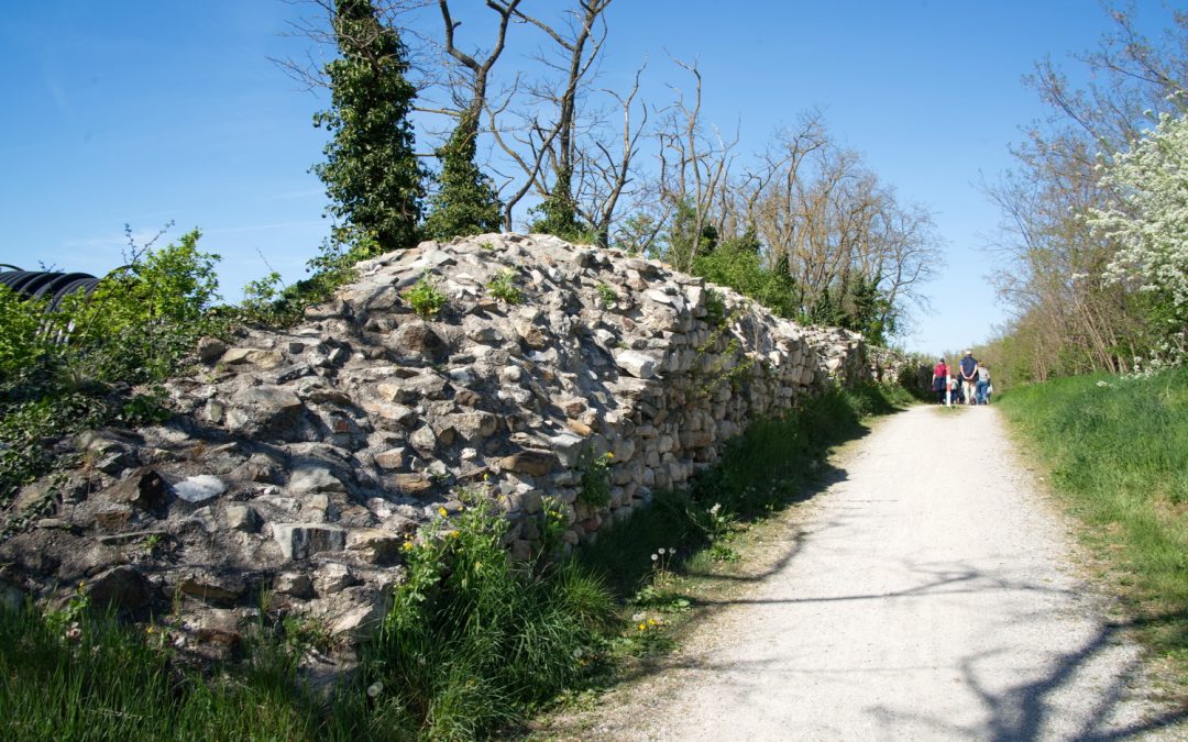 Stadtmauerführung